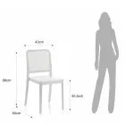 4 stapelbare binnen- en buitenstoelen van polypropyleen - Pauw Viadurini