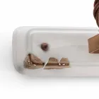 Applique twee schijnwerpers Amelia Ferroluce ambachten Viadurini