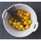 Mand in wit Carrara-marmer van Italiaans luxe design - Tinozzo Viadurini