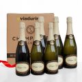 Champagne Cuvee exclusief voor Viadurini pakket van 6 flessen "Champagne de Vignerons"