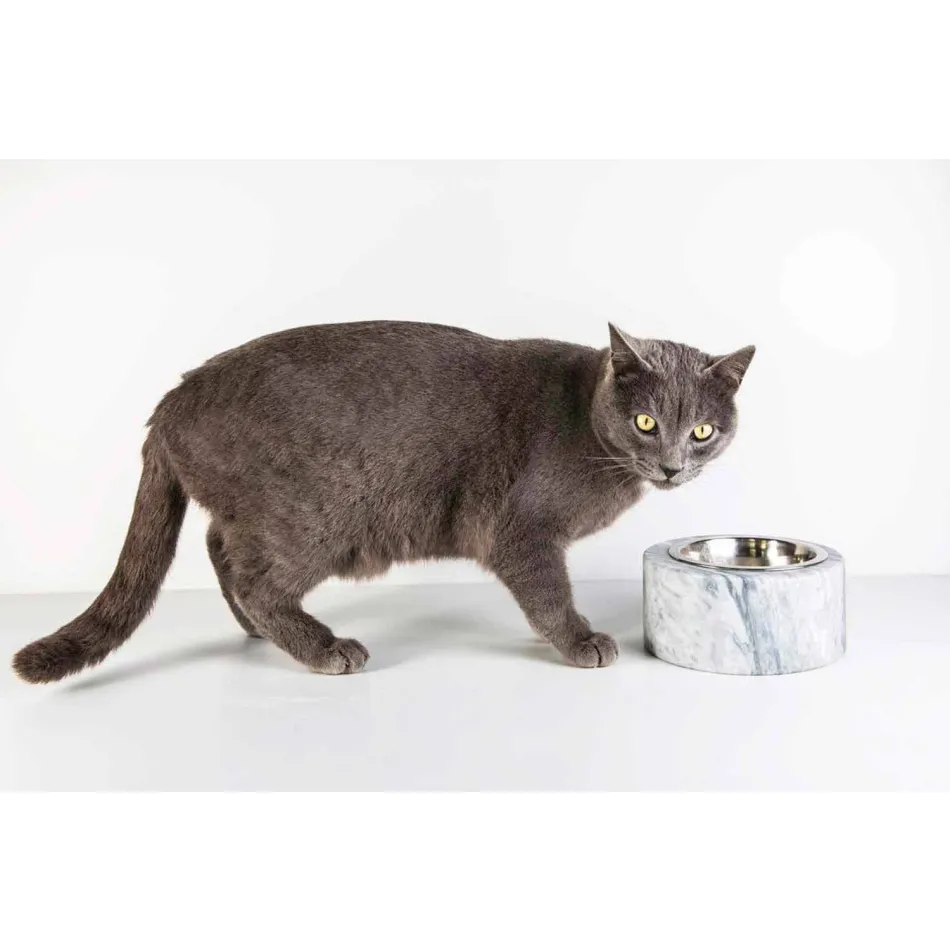 Honden- en kattenkom in wit Carrara-marmer gemaakt in Italië - Ciotta Viadurini