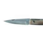 Handgemaakt Anconetano-mes met handvat van hoorn, gemaakt in Italië - Tanco Viadurini