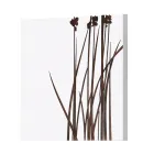 Samenstelling van 4 panelen met Hortensia's, Allium en Thypha Made in Italy - Berekening Viadurini