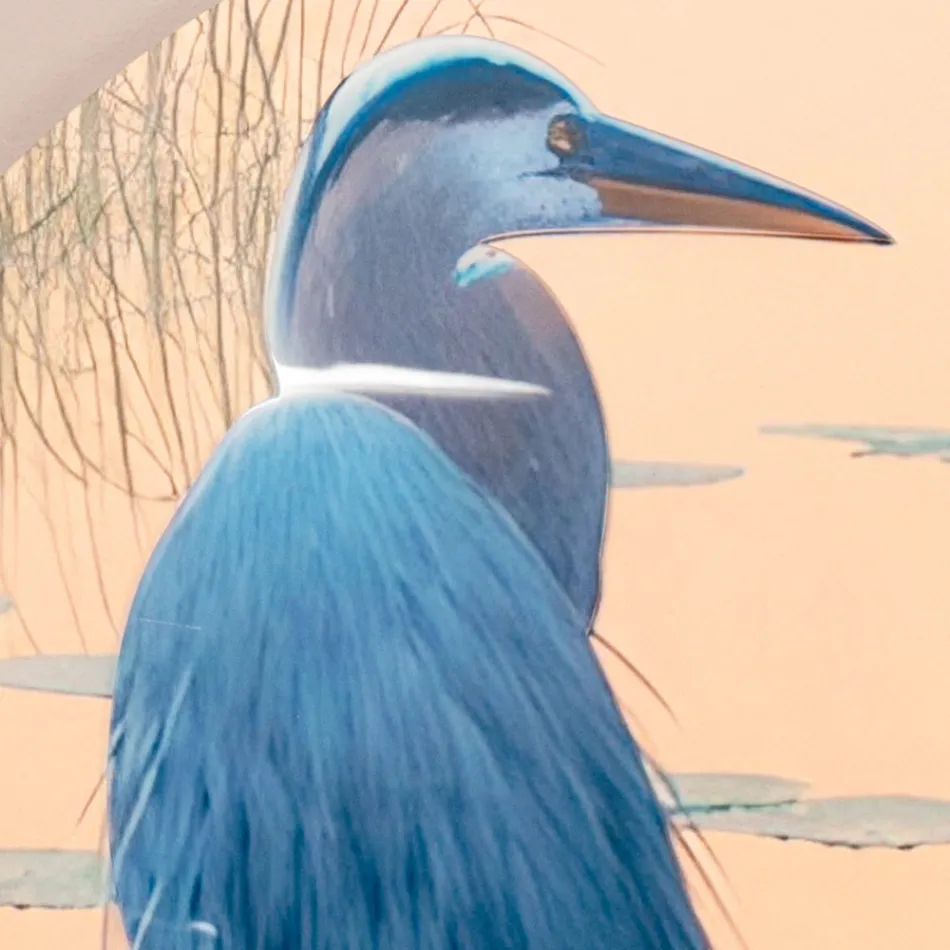 Compositie van houten schilderijen met vogelprint Made in Italy - Belize Viadurini