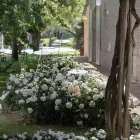 Tuinlamp Aluminium Wit Design met Waterlelieblad - Cipriam Viadurini