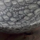 Design keramische aanrecht wastafel gemaakt in Italië Animals Viadurini