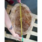 Houten wastafel Fossil Counter Goa enkel stuk Viadurini