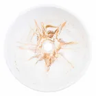 Designondersteuningswasbak in gouden hars - Dogliola Viadurini