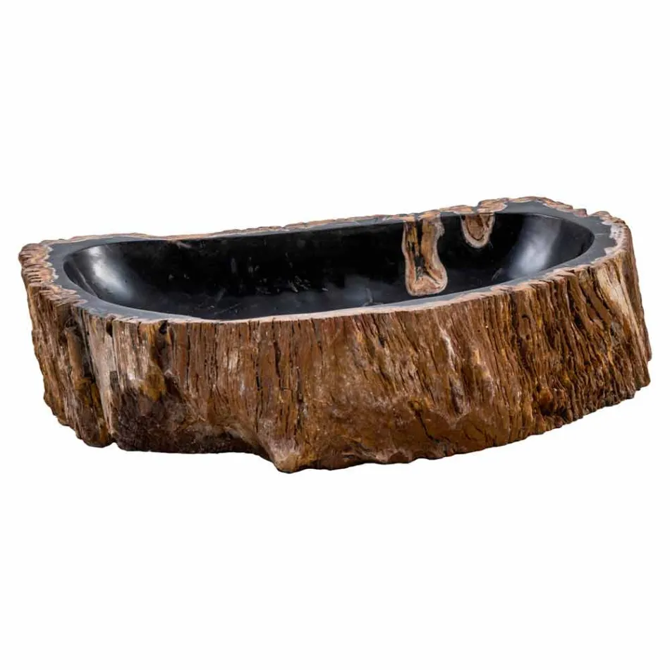 Eigentijdse handgemaakte aanrecht gootsteen gemaakt van fossiel hout, Negrar Viadurini