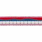 Eenpersoonsmatras in Quality Memory 25 cm hoog Made in Italy - Platinum Viadurini