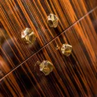 Moderne Mobiele container met 4 deuren in hout gepolijst ebbenhout Ada Viadurini