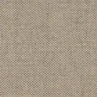 Heldere buitenfauteuil van polyethyleen met kussen Made in Italy - Belida Viadurini