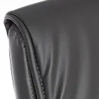 Sledebureaustoel Staal en Eco-leer met armleuningen 2 stuks - Monaldo Viadurini