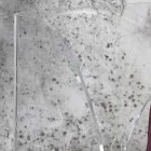 Paraplubak in transparant lasergedecoreerd acrylkristal - Versio Viadurini