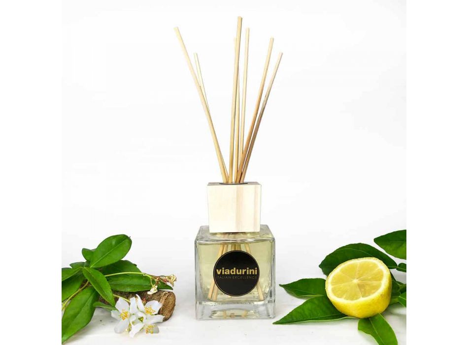 Leder Parfumkamer Parfum 200 ml met Sticks - Lavecchiavenezia Viadurini