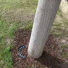 9W led-buitenschijnwerper in matzwarte aluminium afwerking - Tudor Viadurini