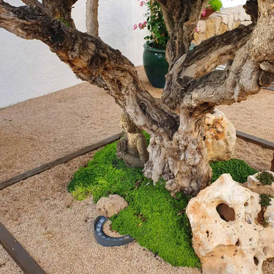 9W led-buitenschijnwerper in matzwarte aluminium afwerking - Tudor Viadurini