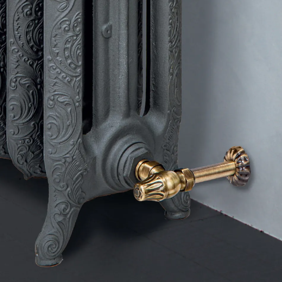 Hydraulische gietijzeren radiator met 3 kolommen versierd - Vanilline Viadurini