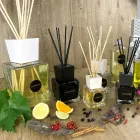 Navulling Bamboo Lime Ambient Diffuser Sticks 500 ml of 1 lt - Ariadicapri Viadurini