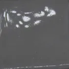 Keramische rozet voor lampen samenstelling Battersea 975ST - Toscot Viadurini