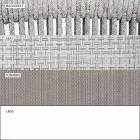 Buitenstoel met armleuningen stapelbaar gestoffeerd H 78 cm - Smart van Varaschin Viadurini