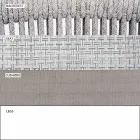 Stapelbare tuinstoel met gepolsterde armleuningen H 73 cm - Smart van Varaschin Viadurini