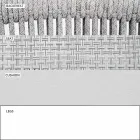 Stapelbare tuinstoel met gepolsterde armleuningen H 73 cm - Smart van Varaschin Viadurini