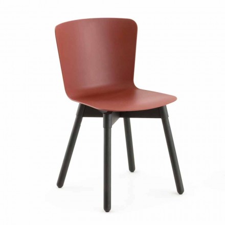 Polypropyleen stoel met gekleurd eiken onderstel Made in Italy, 2 stuks - Scandio Viadurini