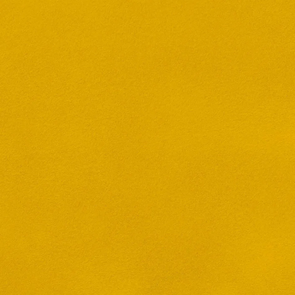 Eetkamerstoel in fluweel met zwarte metalen poten, 4 stuks - Hanna Viadurini