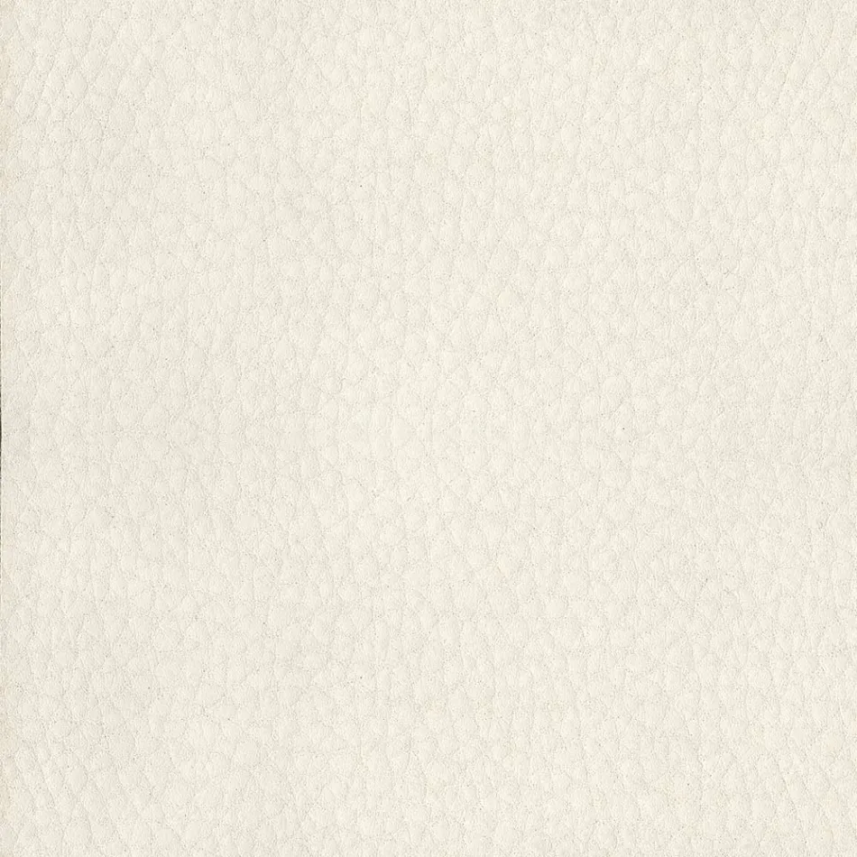 Eetkamerstoel bekleed met ecoleer Made in Italy - Giulia Viadurini