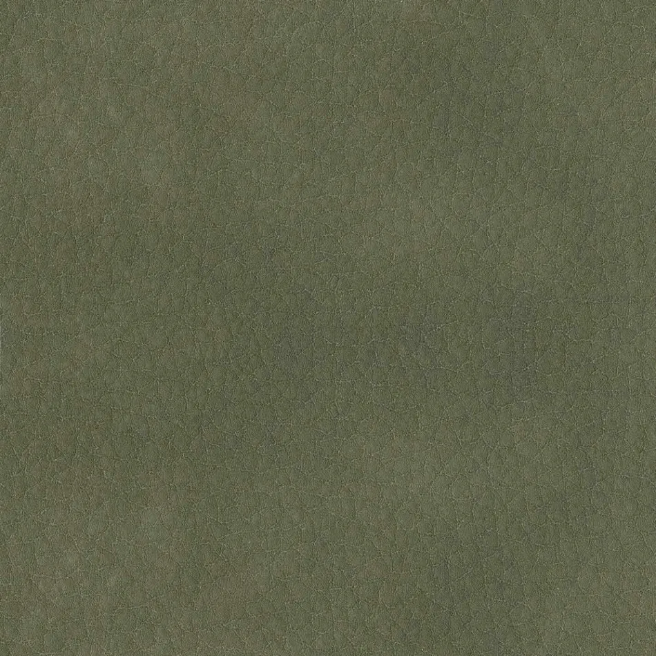 Eetkamerstoel bekleed met ecoleer Made in Italy - Giulia Viadurini