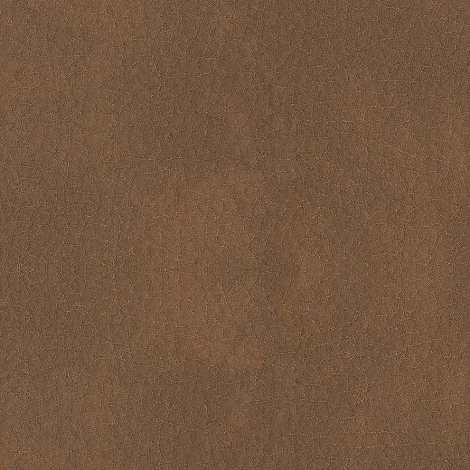 Eetkamerstoel bekleed met ecoleer Made in Italy - Giulia Viadurini