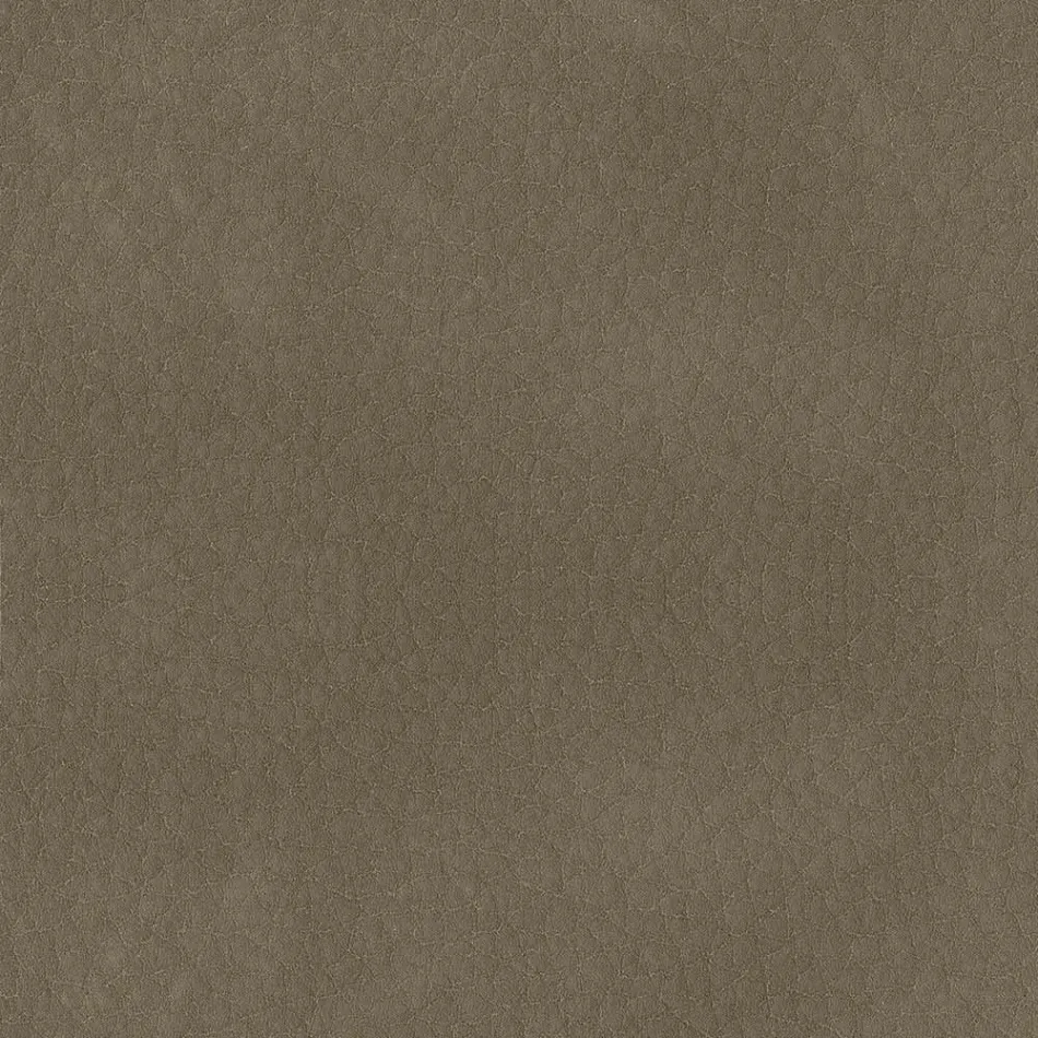 Eetkamerstoel bekleed met ecoleer Made in Italy - Giulia Viadurini