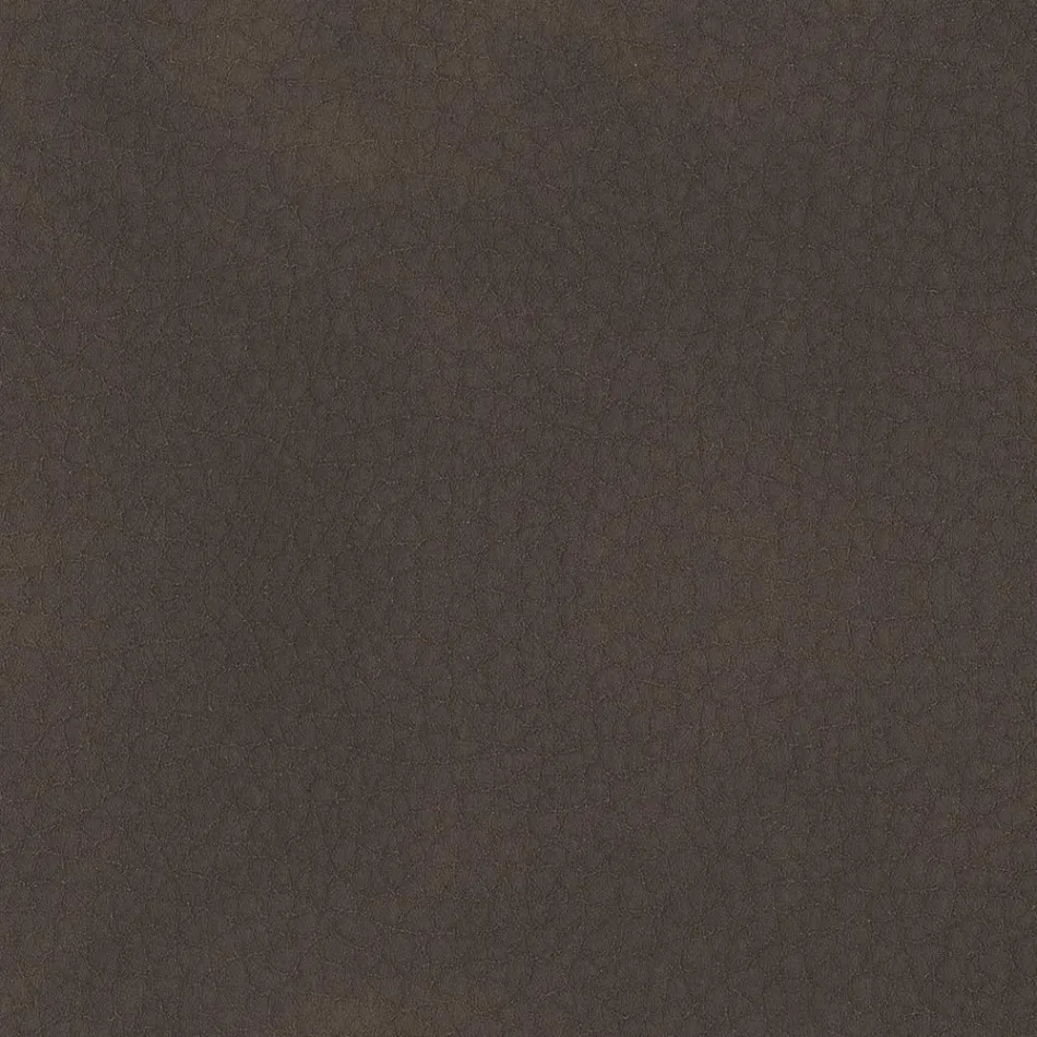 Eetkamerstoel bekleed met ecoleer Made in Italy - Giulia Viadurini