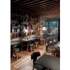 Made in Italy houten en polypropyleen eetkamerstoelen, 2 stuks - klaver Viadurini