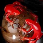 Gekleurd glazen ornament in de vorm van een ei met gekko's Made in Italy - Huevo Viadurini