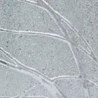 Rechthoekige wandspiegel gemaakt van dennenhout gemaakt in Achille Viadurini