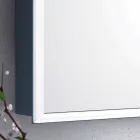 Wandspiegel 2 moderne container deuren, LED-verlichting, Adele Viadurini