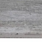 Designtapijt in Viscose en Acryl Grijs Beige met Design - President Viadurini