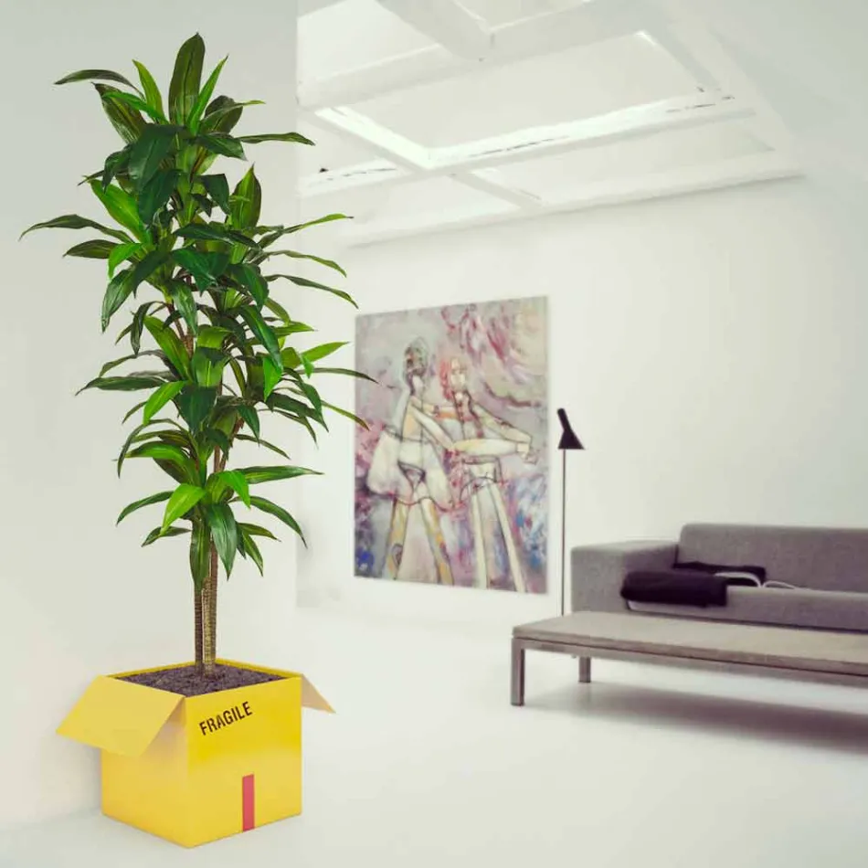 Coffee houder Magazines Fragile Mabele Viadurini