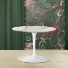 Tulip salontafel Eero Saarinen H 39 ovaal in goud Caracatta-marmer Made in Italy Viadurini
