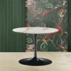 Tulip salontafel Eero Saarinen H 39 ovaal in goud Caracatta-marmer Made in Italy Viadurini