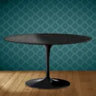 Eero Saarinen H 41 ovale tulp salontafel van Somnia keramiek, gemaakt in Italië - Scharlakenrood Viadurini