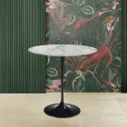 Tulip Salontafel Eero Saarinen H 52 Ovaal in Arabescato Marmer Gemaakt in Italië Viadurini