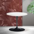 Saarinen Tulip salontafel, hoogte 39 cm, in mat wit Florim keramiek - Scarlet