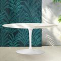 Saarinen Tulip salontafel H 41 cm in glanzend Florim Calacatta Gold keramiek - Scharlakenrood