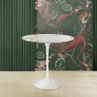 Tulip Saarinen salontafel H 52 met ovaal blad in goud Caracatta-marmer Made in Italy - Scarlet Viadurini