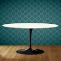 Saarinen Tulip salontafel, ovaal, H 41 cm, Moonè keramiek, gemaakt in Italië - Scharlakenrood