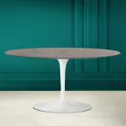 Tulip Saarinen ovale salontafel H 41 in grijs steenkeramiek Made in Italy - Scarlet Viadurini