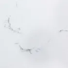 Uitschuifbare eettafel 240 cm glas en keramiek blad - Barone Viadurini